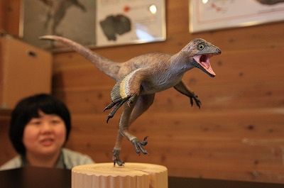 デイノニコサウルス模型