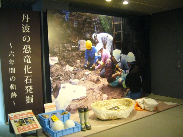 兵庫県立人と自然の博物館　http://www.hitohaku.jp/