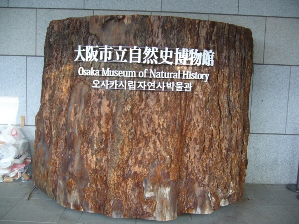 大阪自然史フェスティバル２０１４ 　