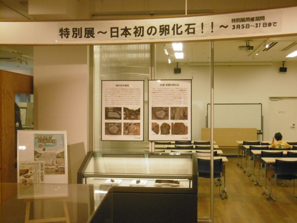 ちーたんの館でも卵化石の展示と説明会の開催